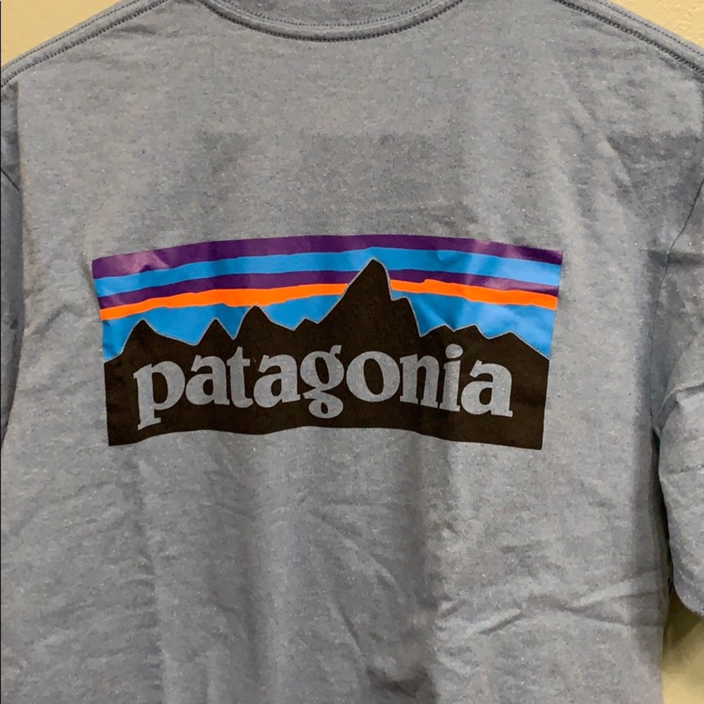 Patagonia Tee